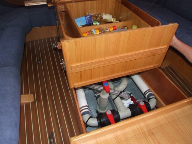 Cigale 16 -49.JPG